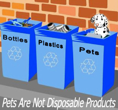 Pets are NOT disposable