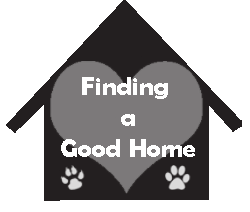 Finding a good home for your pet