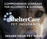 ShelterCare Insurance